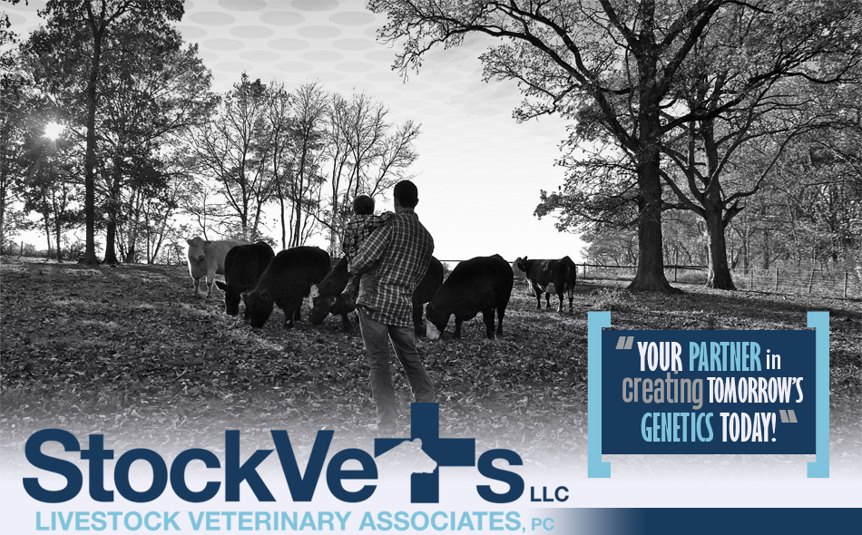 StockVets LLC